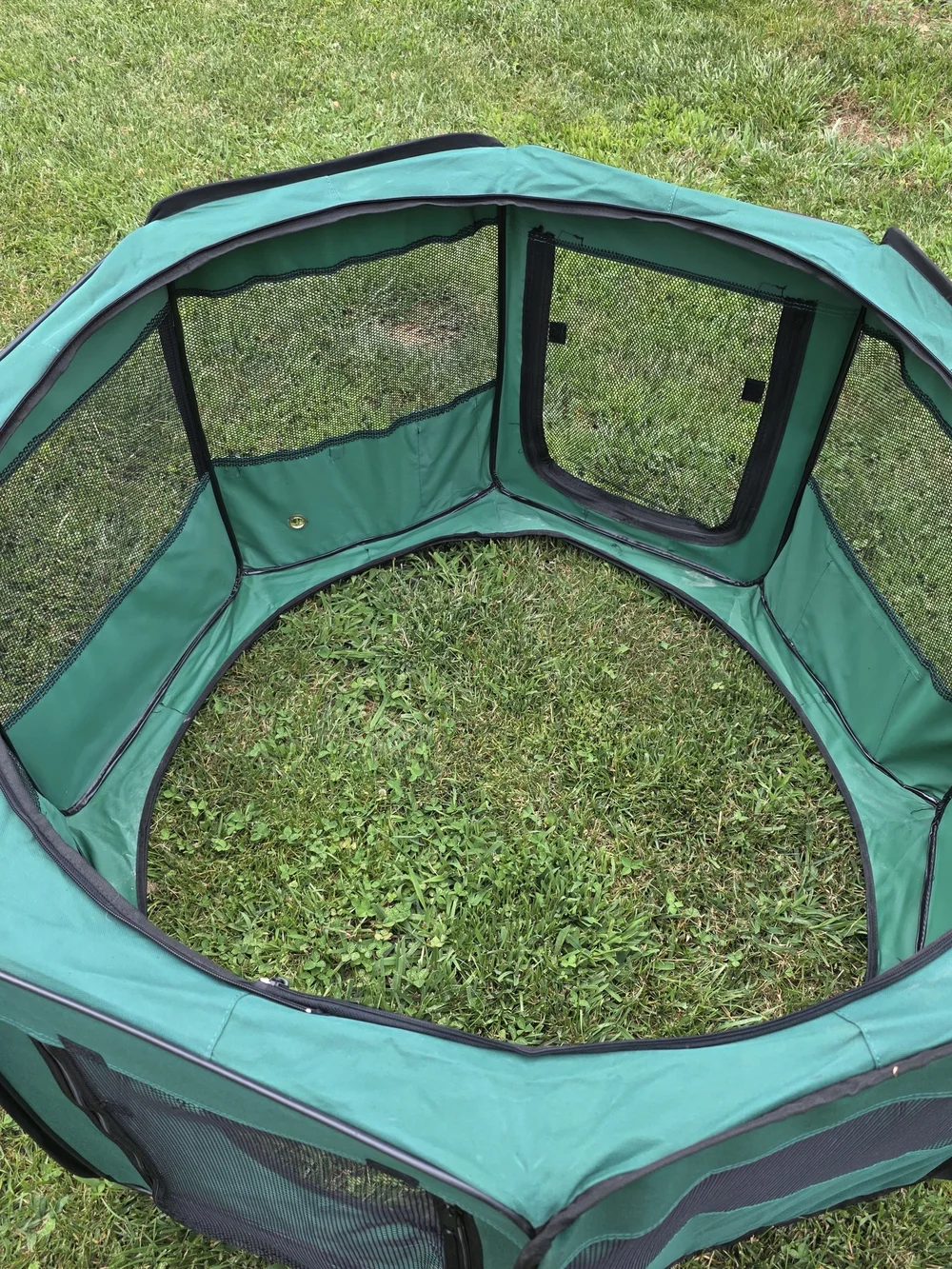Green Portable Dog Playpen Carrier - Brand